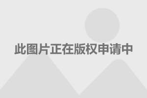 赶考状元AI测评报告对以后升学影响解析