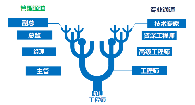 探索文案策划师职业发展：必备专业选择与核心技能学指南