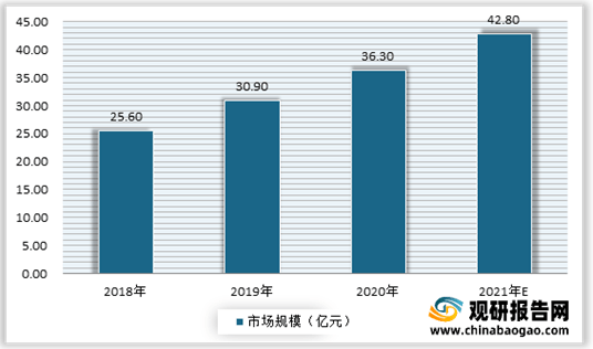 2024年中国AI数据服务行业全景报告：市场趋势、技术进展与解决方案深度解析