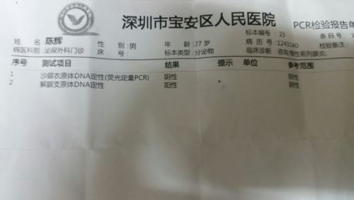 AI辅助检测报告单中结节解析：深入探讨结节含义与影响