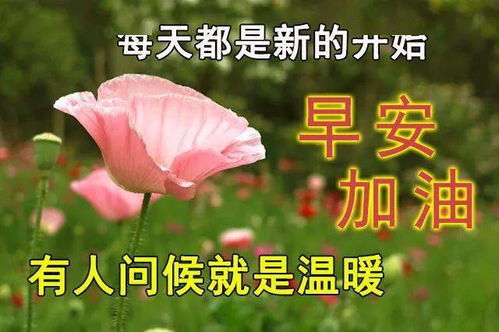 搞笑幽默文案一句话：简短短句集锦，幽默精华汇总