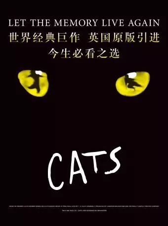 猫创作背景：作品简介与原声资料汇编