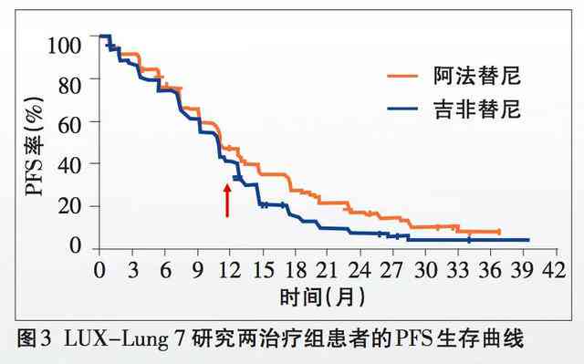 庆八周年：全面回顾与展望，探索成长历程与未来展望