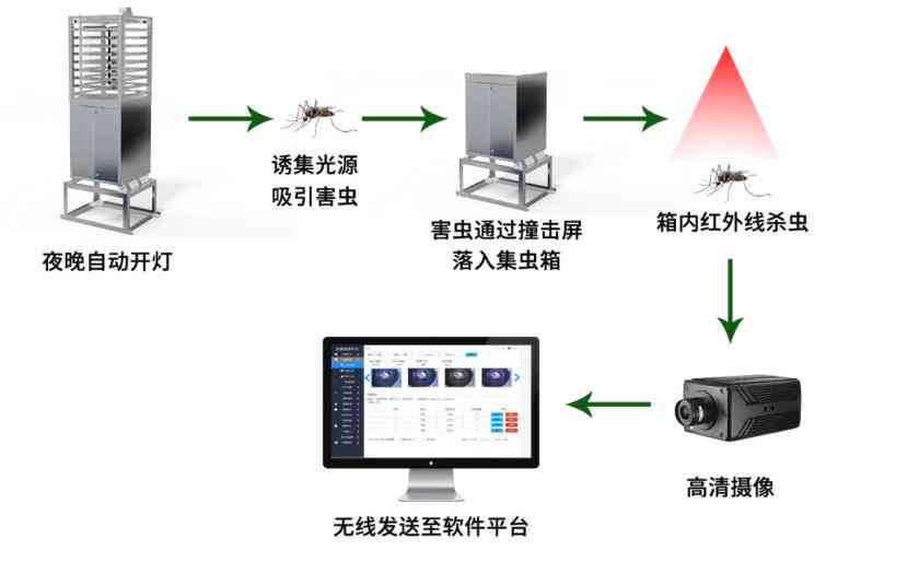 虫联网：毛毛虫智能网络探索