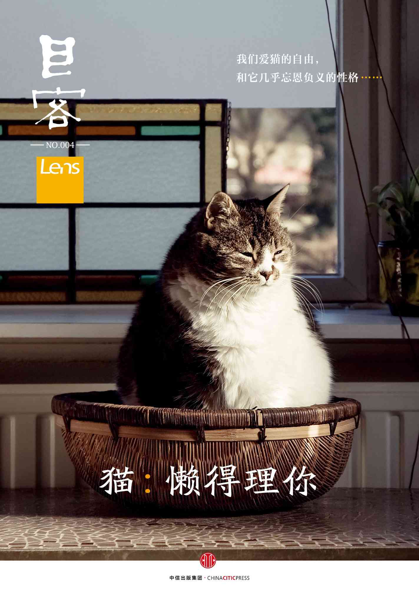 猫咪相伴，心灵对话：与猫同框的创意文案集锦