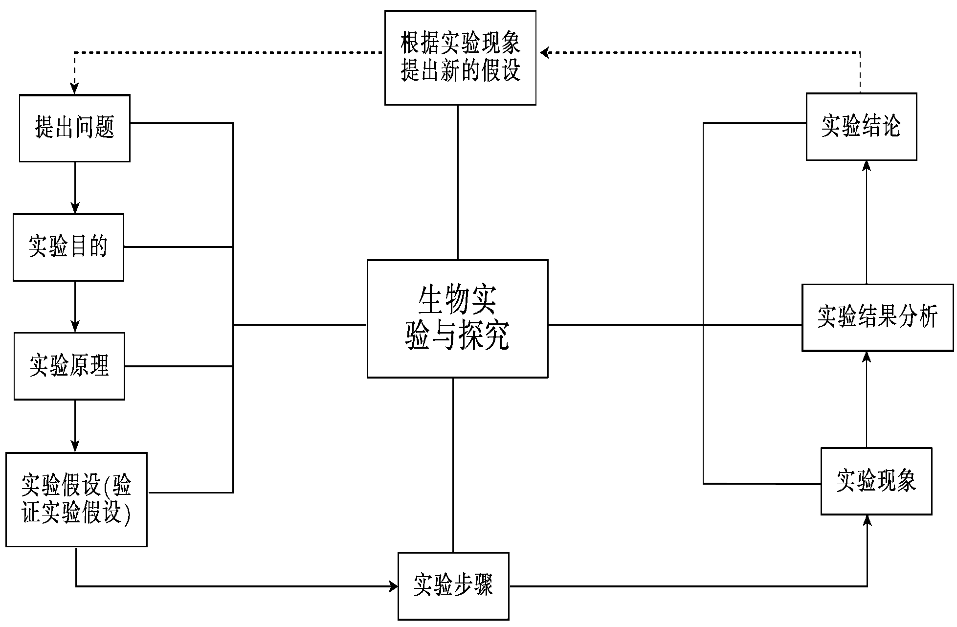 '自然选择机制探究：模拟生物进化实验研究报告'