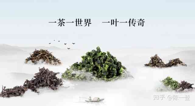 融入诗意生活的茶语佳句：经典茶文案精选集锦