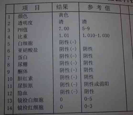 ai血常规报告解读软件 - 手机版免费及报告单解读工具