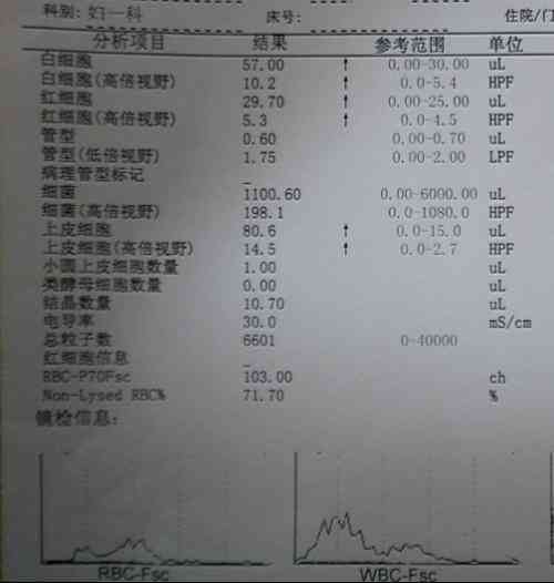 ai血常规报告解读软件 - 手机版免费及报告单解读工具