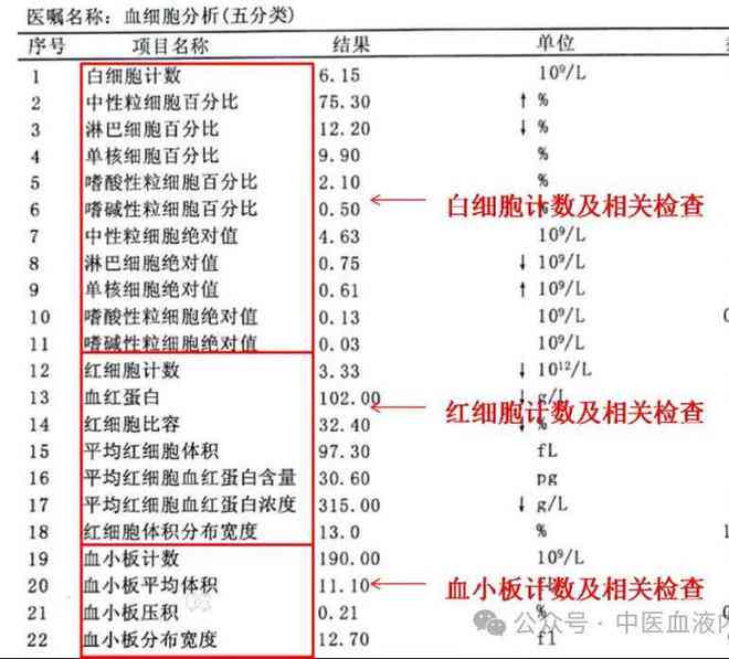 Ai血常规报告解读软件