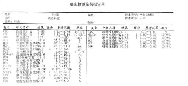 在线血常规报告单智能生成工具