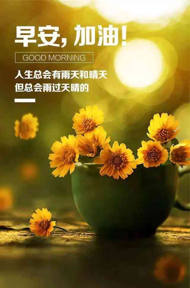 追寻气魅力：盘点那些令人心动的爱哥文案精选