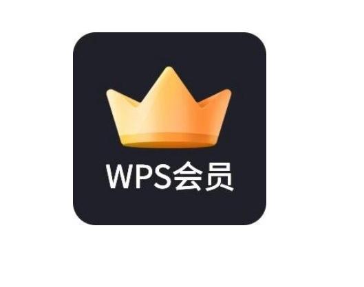 详尽解析：WPS会员权益及功能一览，满足你的办公需求