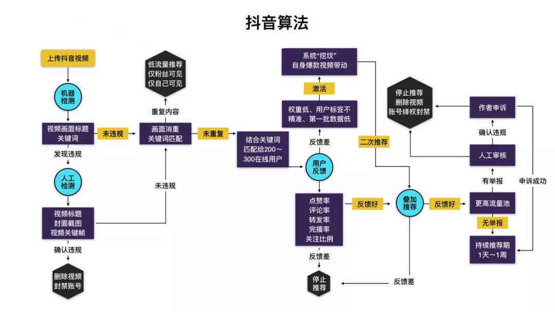 抖音热门爆款文案大全：涵最新趋势，全面解决创意写作与内容策划难题