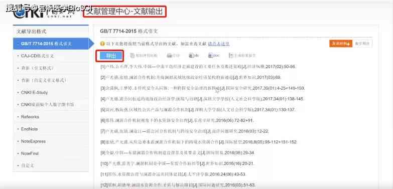 全面指南：撰写中文综述文章的格式要求与实用技巧