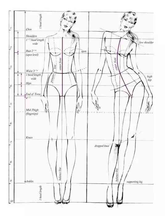 人体模特动态线稿教程：动作、比例与细节解析全攻略