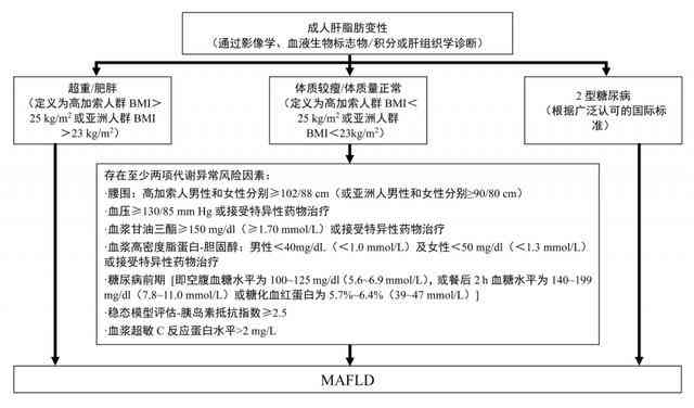 全方位人工智能综合评估报告：体检、诊断与优化策略解析