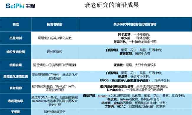 基于前沿AI技术的突破性研究成就与成果概览