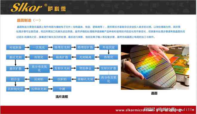 ai机器人的逻辑分析报告