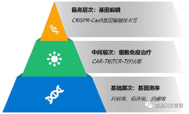 智能医疗ai报告目录最新