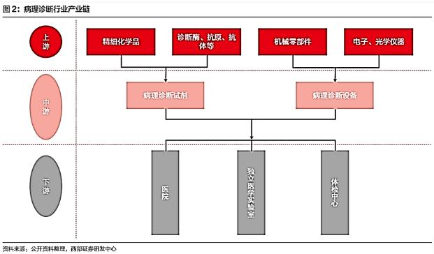 ai看体检报告